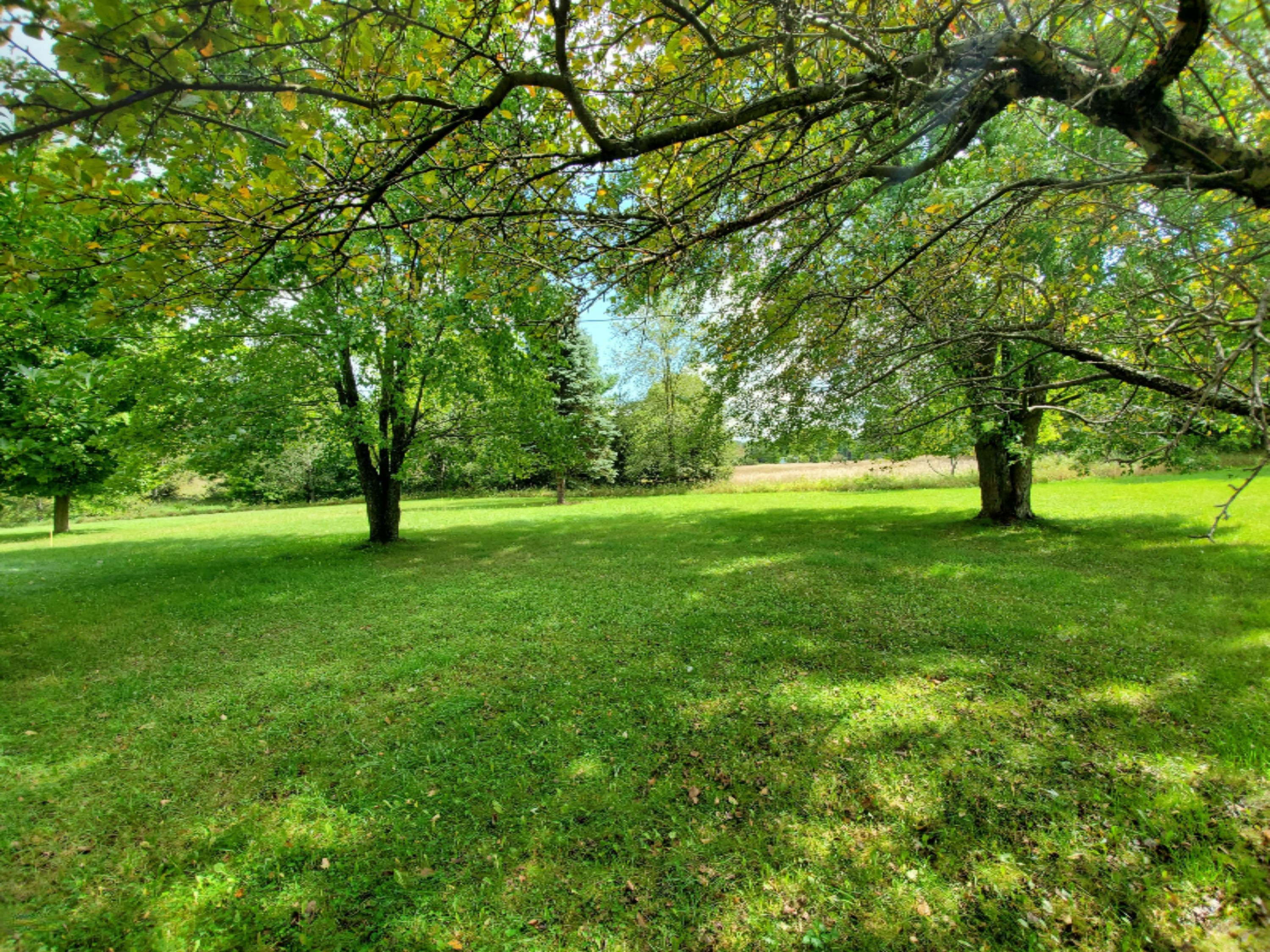 23316 1 Mile Road Reed City, MI 49677 - Photo 6 of 33 20190827_115613 - Copy