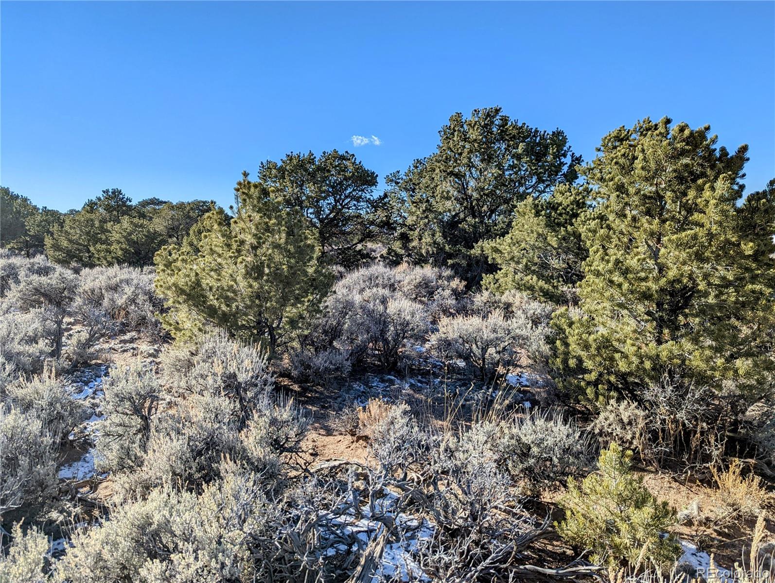 Lot 937 Bateman Road Fort Garland, CO 81133 - Photo 3 of 10