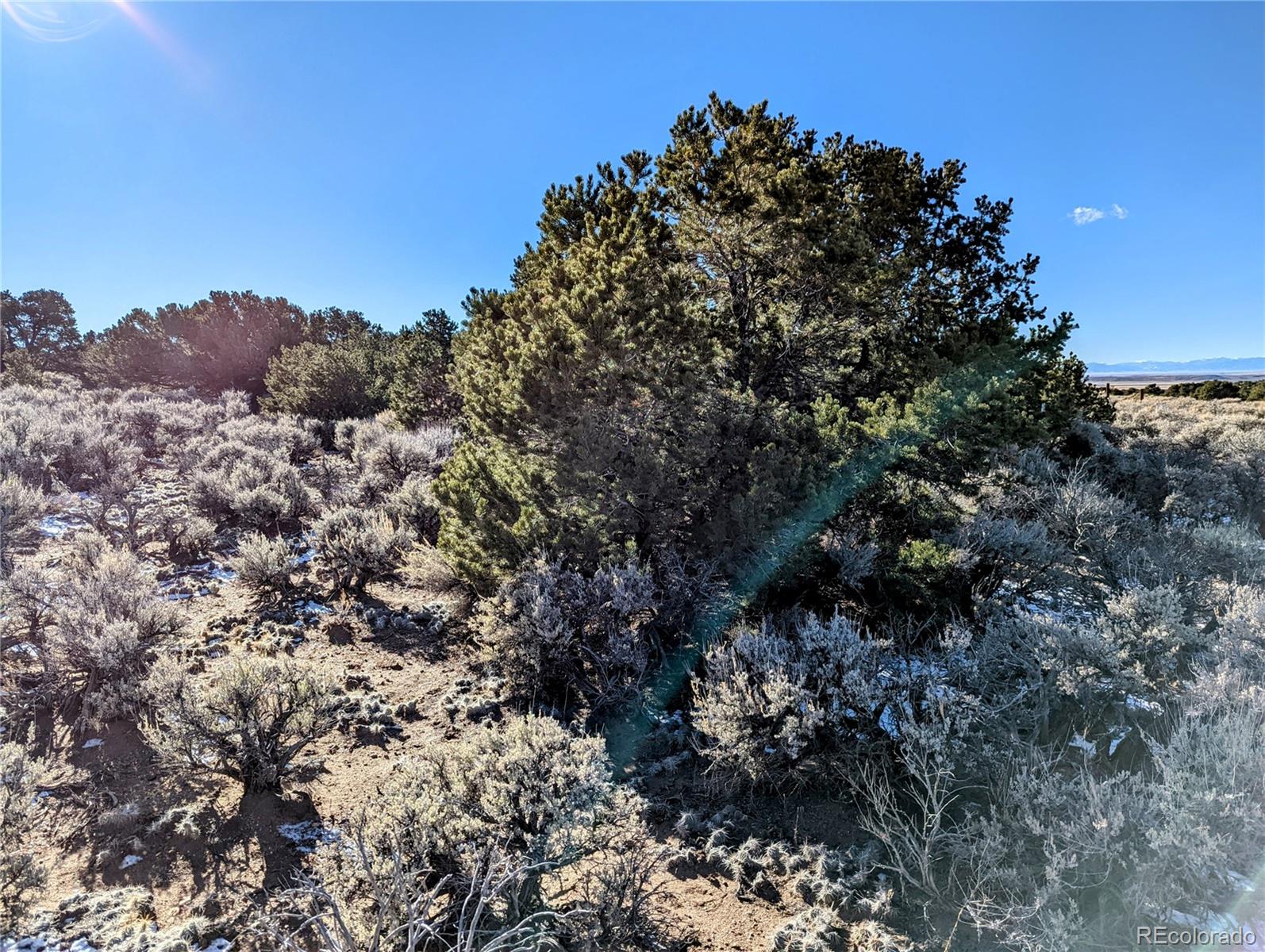 Lot 937 Bateman Road Fort Garland, CO 81133 - Photo 4 of 10