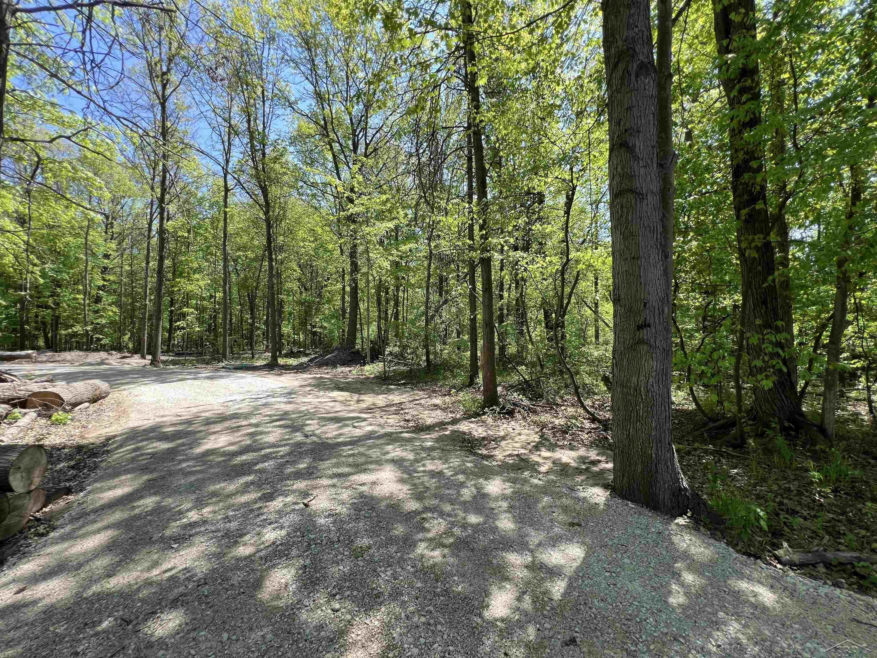 65 South Magruder Road Shepherd, MI 48883 - Photo 14 of 22