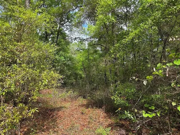 $3,900 | 4 Northwest 56th Street, Chiefland, FL 32626