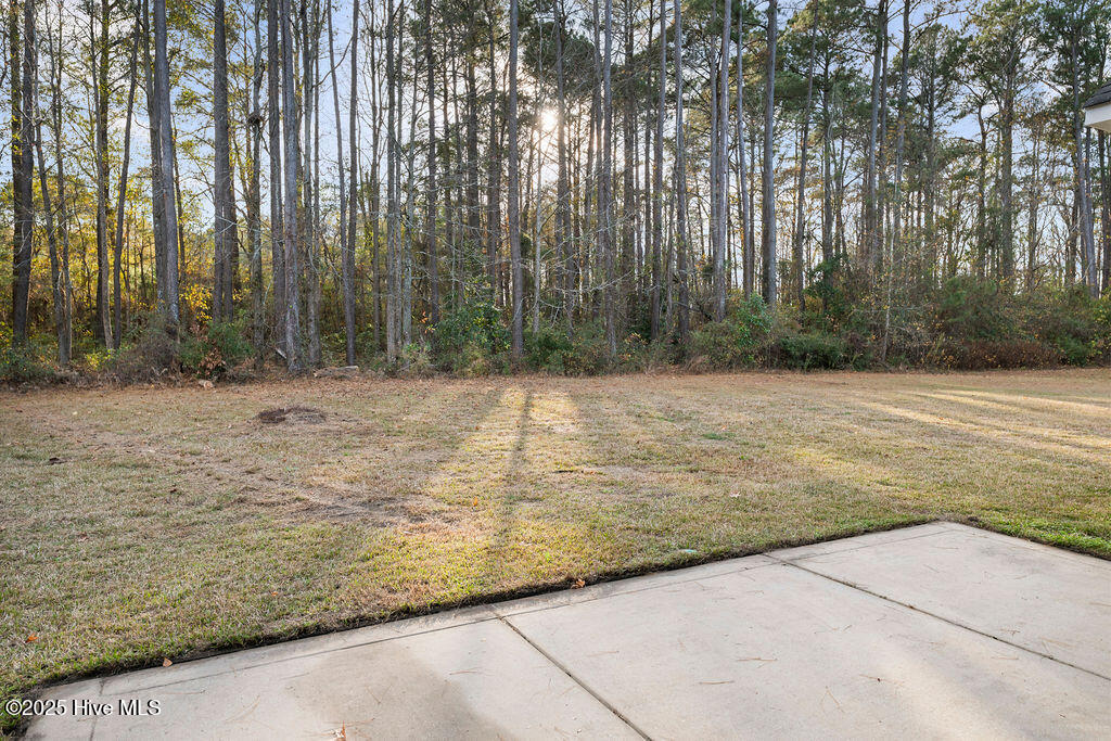 9114 Clinton Road Stedman, NC 28391 - Photo 26 of 34 clinton_D2L3162