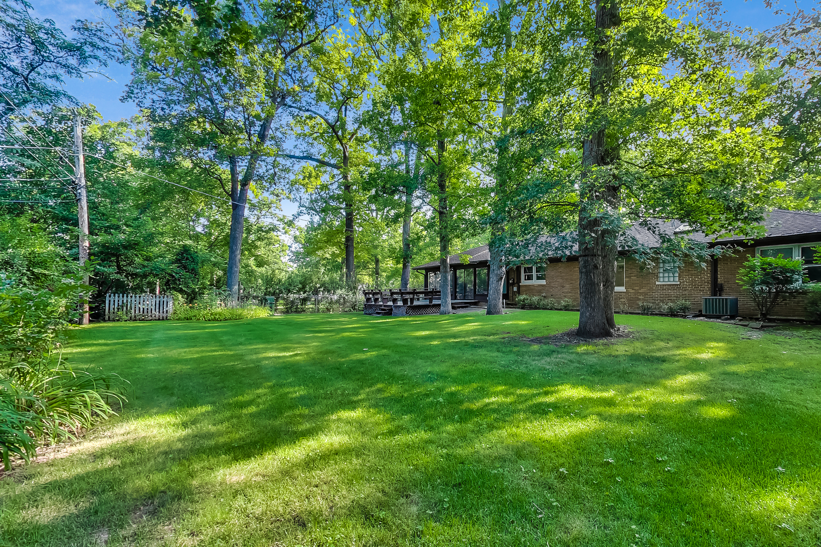220 South Rose Avenue Park Ridge, IL 60068 - Photo 20 of 25 a view of a trees in a yard with large trees