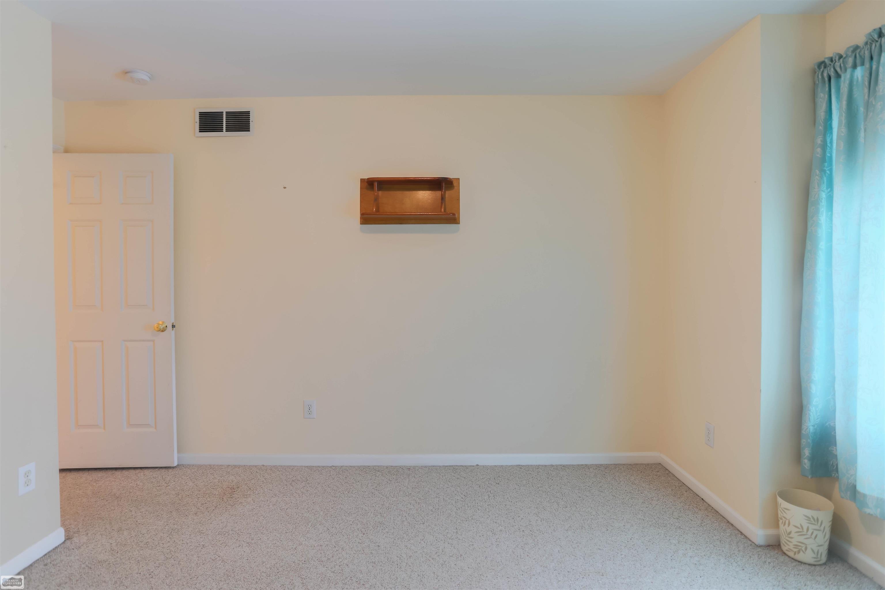15033 Petz Road Capac, MI 48014 - Photo 32 of 42 50101030-31.JPG