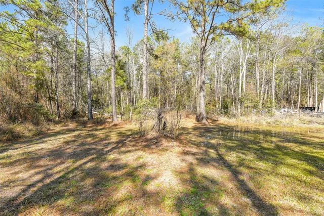 a view of yard along with trees