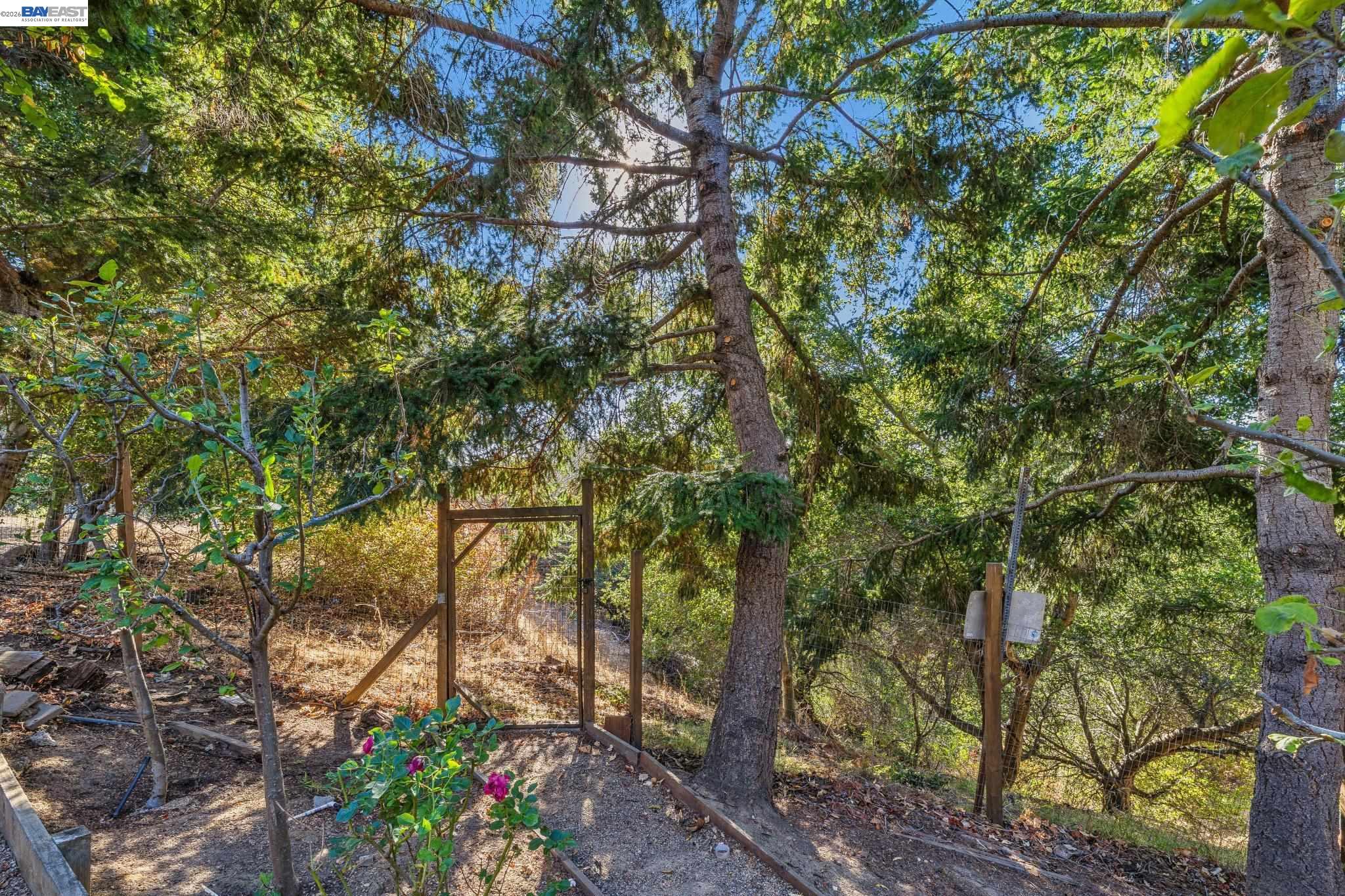 5624 Greenridge Road Castro Valley, CA 94552 - Photo 90 of 99 Gallery Image 90