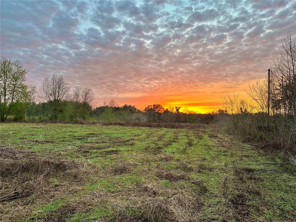 13844 Northwest 21st Court Citra, FL 32113 - Photo 4 of 4 a view of an outdoor space and mountains
