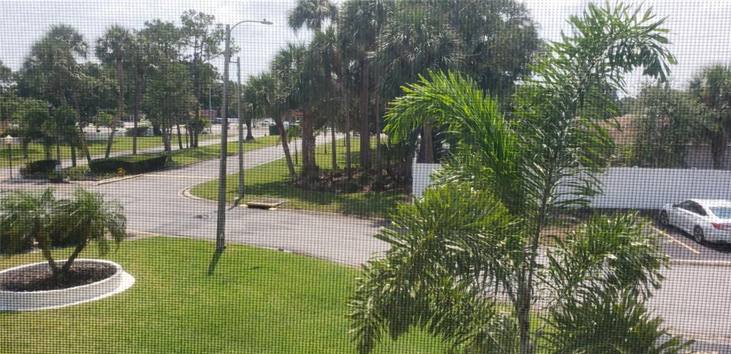 7701 Starkey Road, Unit 102 Seminole, FL 33777 - Photo 15 of 24 a swimming pool with lots of green space