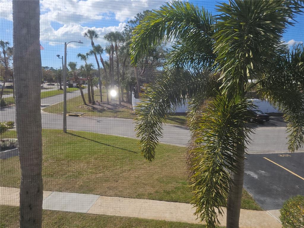 7701 Starkey Road, Unit 102 Seminole, FL 33777 - Photo 19 of 24 a view of outdoor space and yard