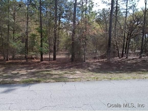 0 Southwest 213 Th Terr Road Dunnellon, FL 34431 - Photo 1 of 1 Primary Photo