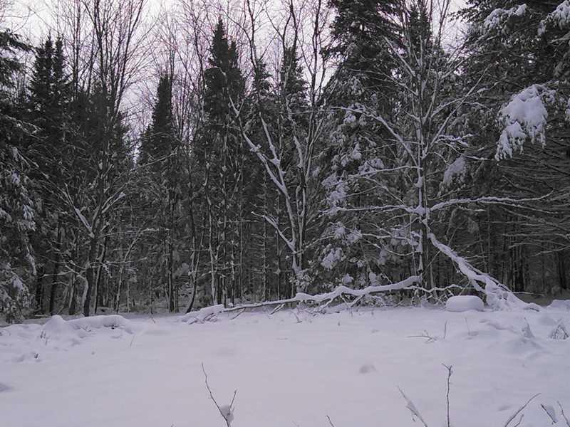 0 Club House Road Levant, ME 04456 - Photo 9 of 9 Land/Lot.
