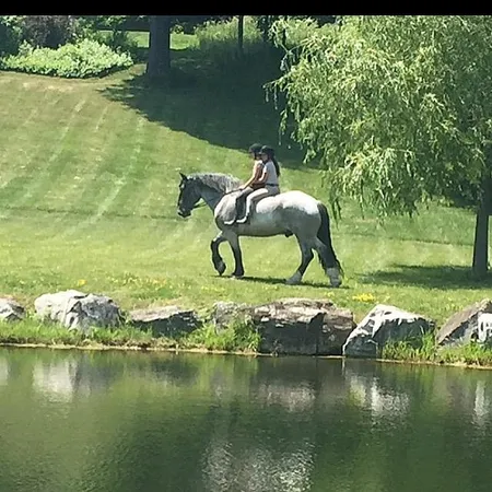 $3,700,000 | 450-451 Red Truck Lane, Charlotte, VT 05445