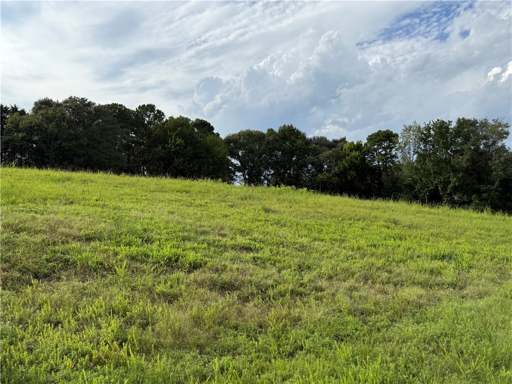 102 Bradford Way Anderson, SC 29621 - Photo 5 of 8 road to back of property