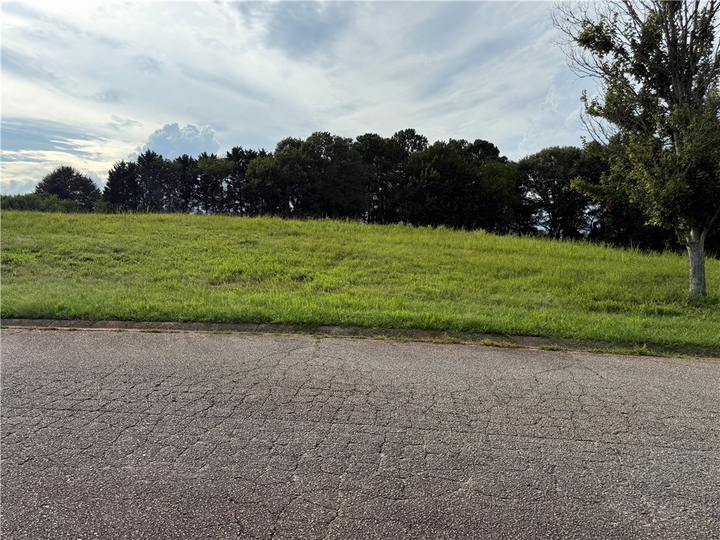 102 Bradford Way Anderson, SC 29621 - Photo 6 of 8 Road to back of property