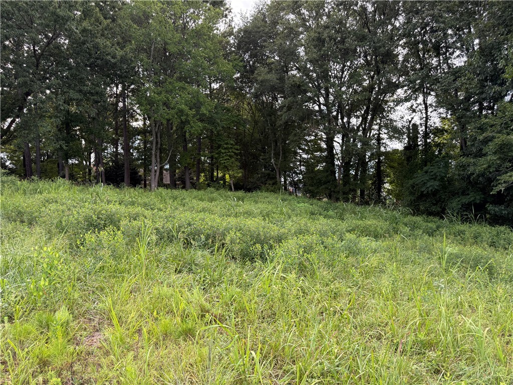 102 Bradford Way Anderson, SC 29621 - Photo 7 of 8 back of property