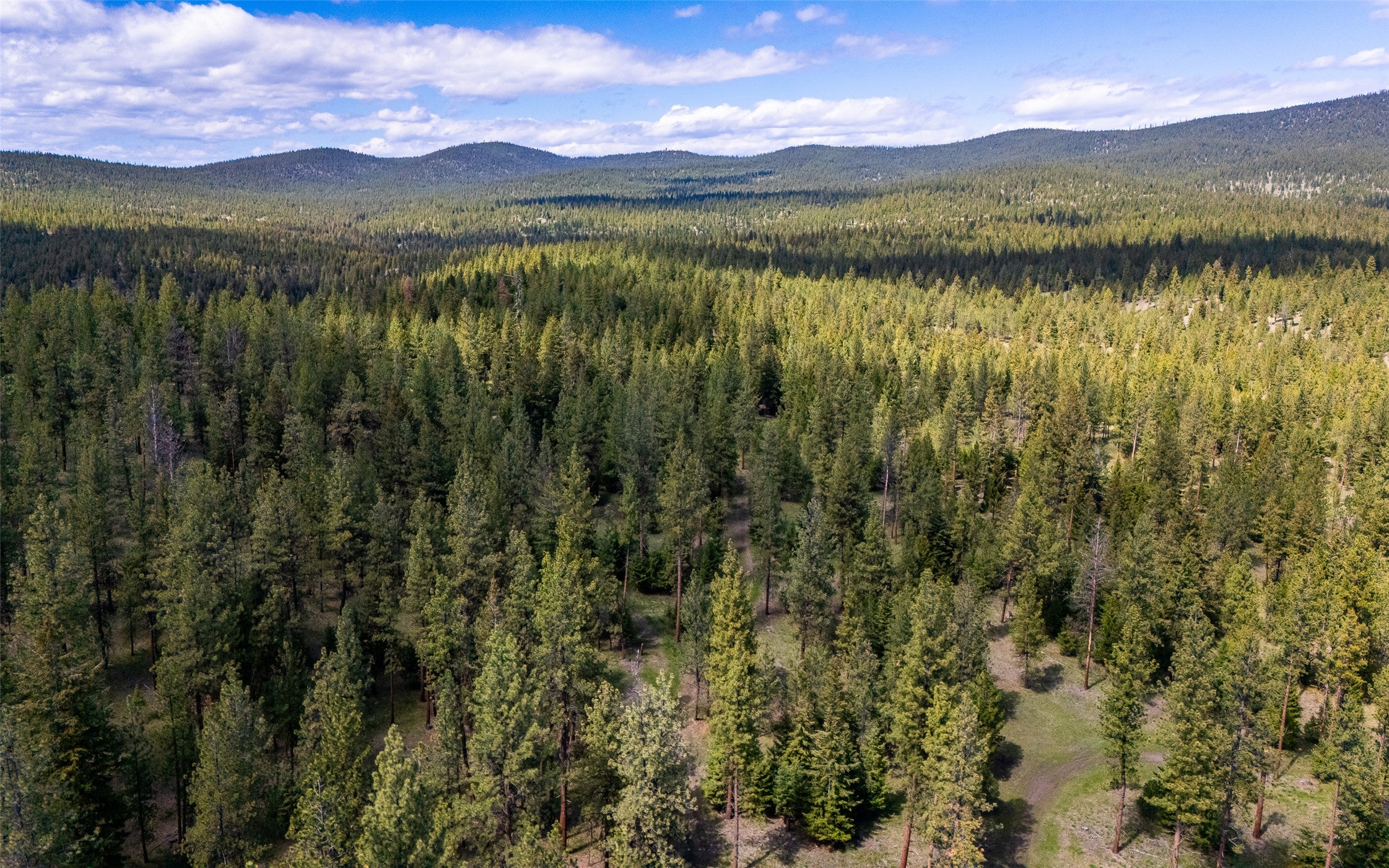 3145-3185 Hubbart Dam Road Marion, MT 59925 - Photo 89 of 106 Gallery Image 89