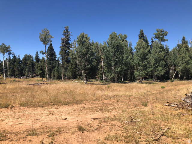 North Fork Road South Duck Creek Village, UT 84762 - Photo 5 of 17 View of undeveloped land featuring rural landscape