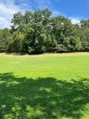 274 Myoma Road Mars, PA 16046 - Photo 4 of 9 a view of an ocean from a yard