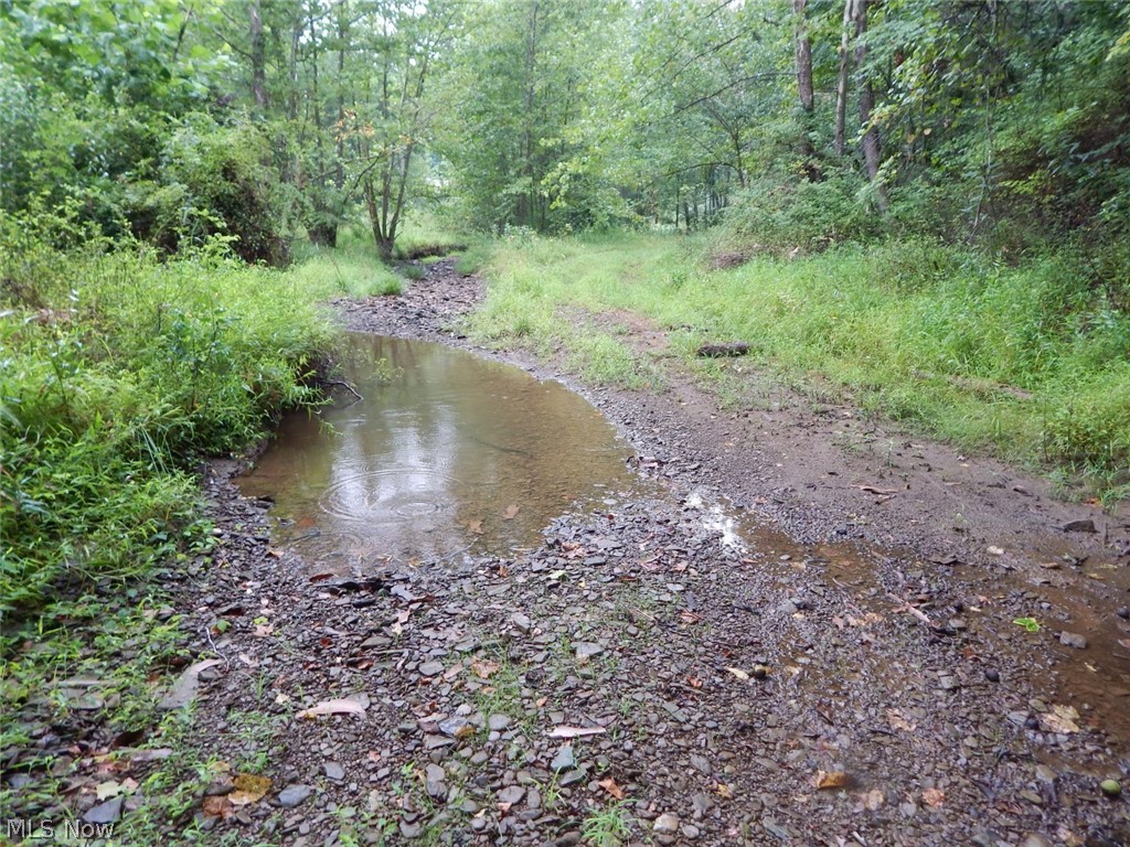 Isaac Run Road Harrisville, WV 26362 - Photo 20 of 20