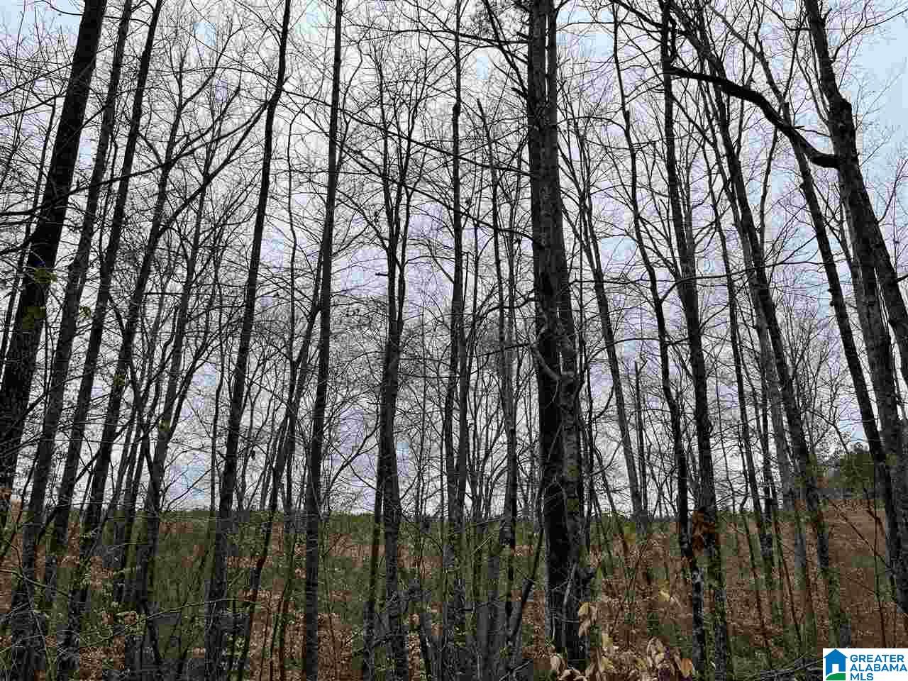 59 County Road, Unit 30 Heflin, AL 36264 - Photo 9 of 24
