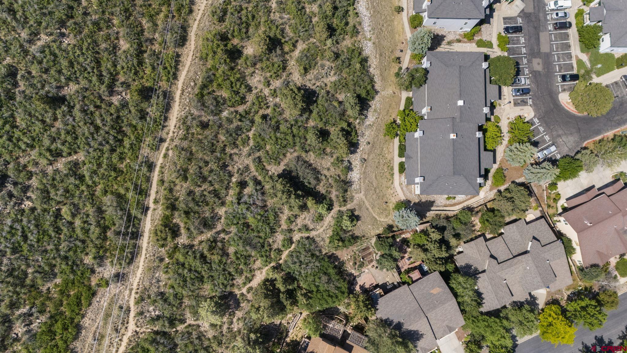 1100 Goeglein Gulch Road, Unit 171 Durango, CO 81301 - Photo 30 of 40 an aerial view of residential house with outdoor space and trees all around