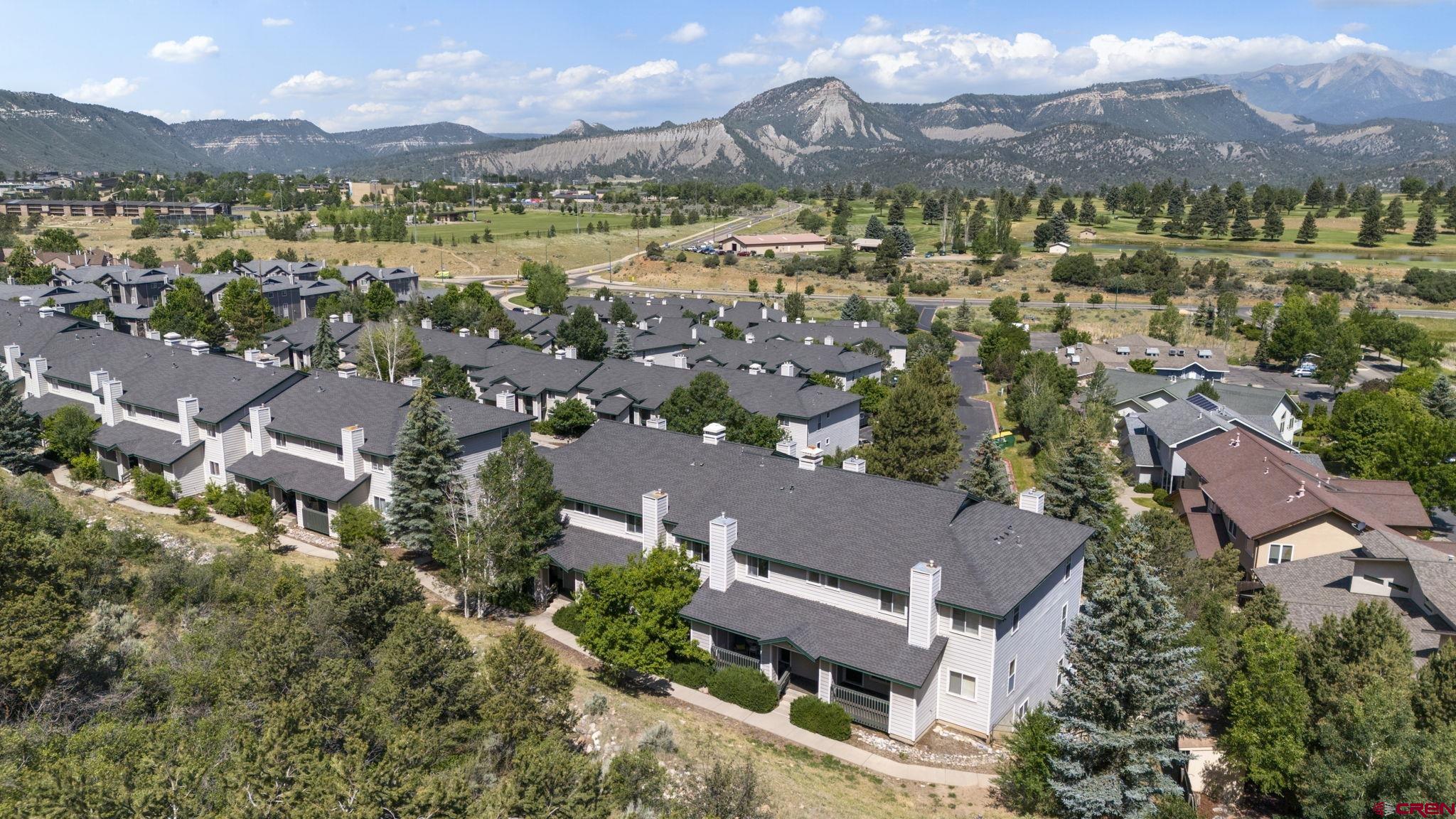 1100 Goeglein Gulch Road, Unit 171 Durango, CO 81301 - Photo 31 of 40 an aerial view of residential houses with outdoor space