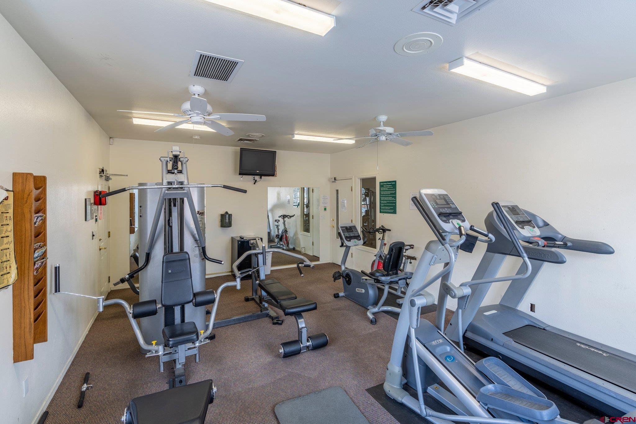 1100 Goeglein Gulch Road, Unit 171 Durango, CO 81301 - Photo 38 of 40 a view of a room with gym equipment