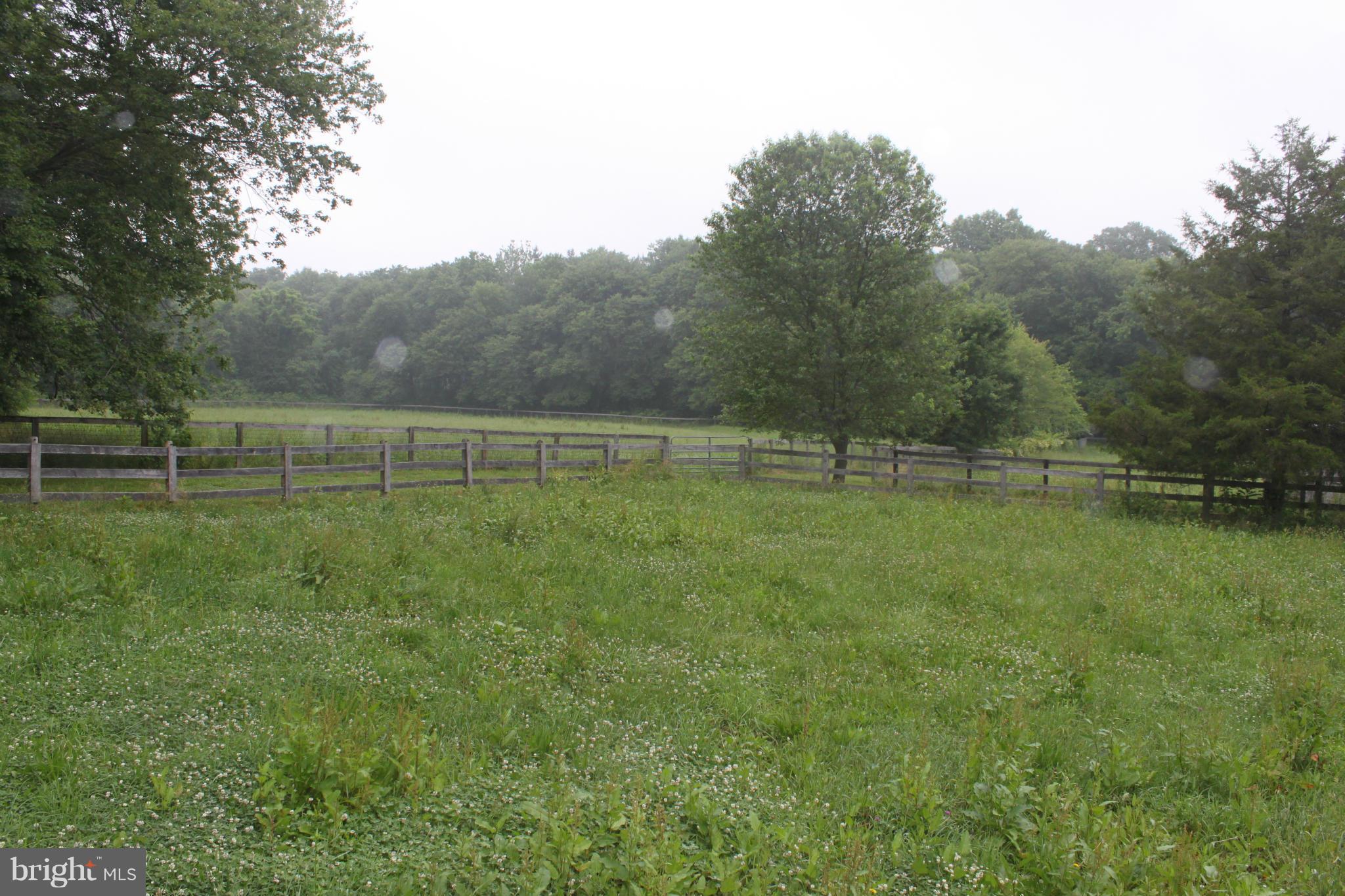 71 Elk Mills Road Elkton, MD 21921 - Photo 15 of 25 Exterior (General)