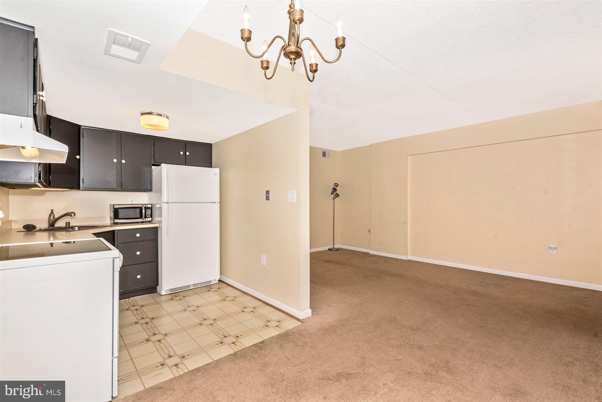 430 Terry Court, Unit A1 Frederick, MD 21701 - Photo 13 of 30 Kitchen
