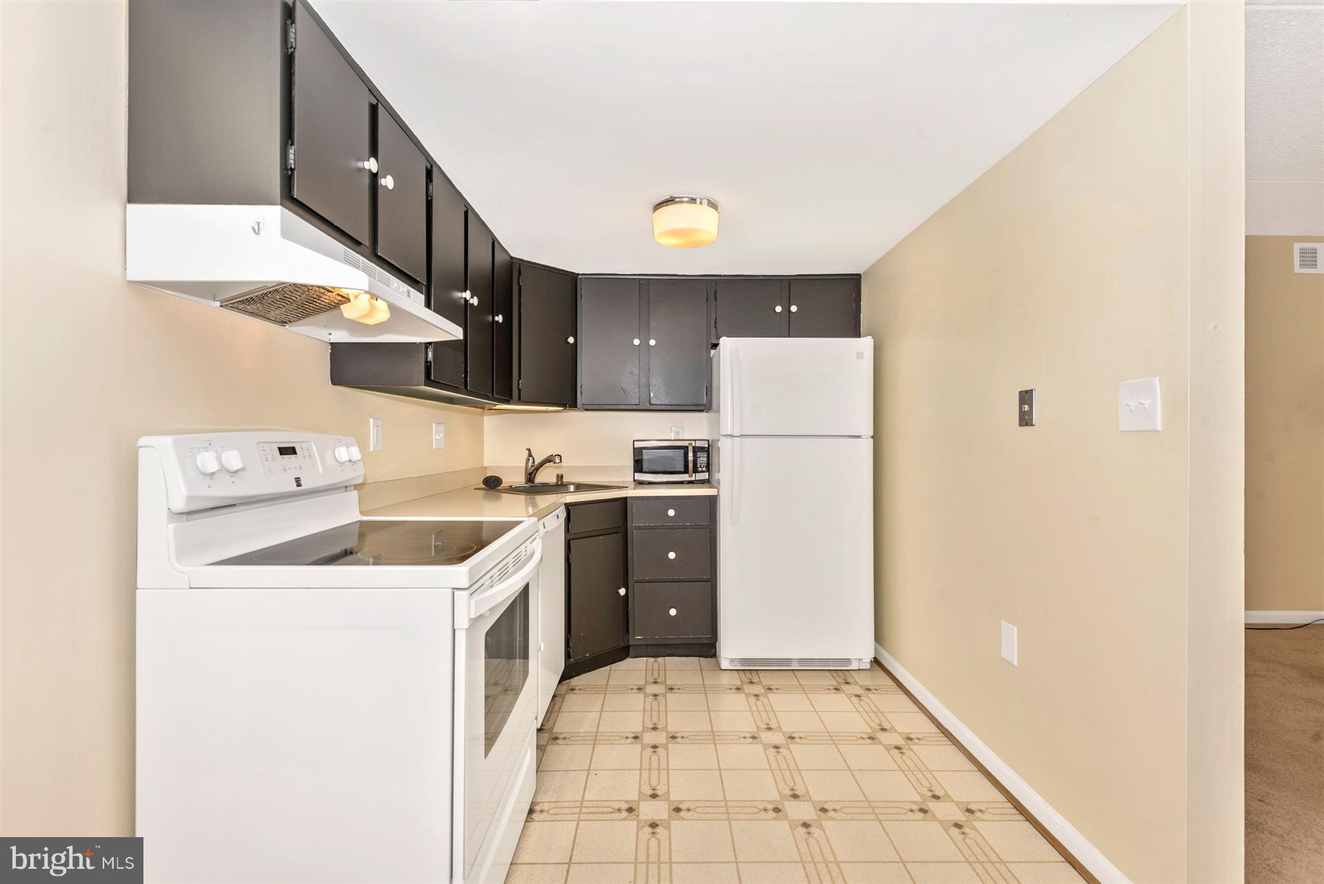 430 Terry Court, Unit A1 Frederick, MD 21701 - Photo 14 of 30 Kitchen