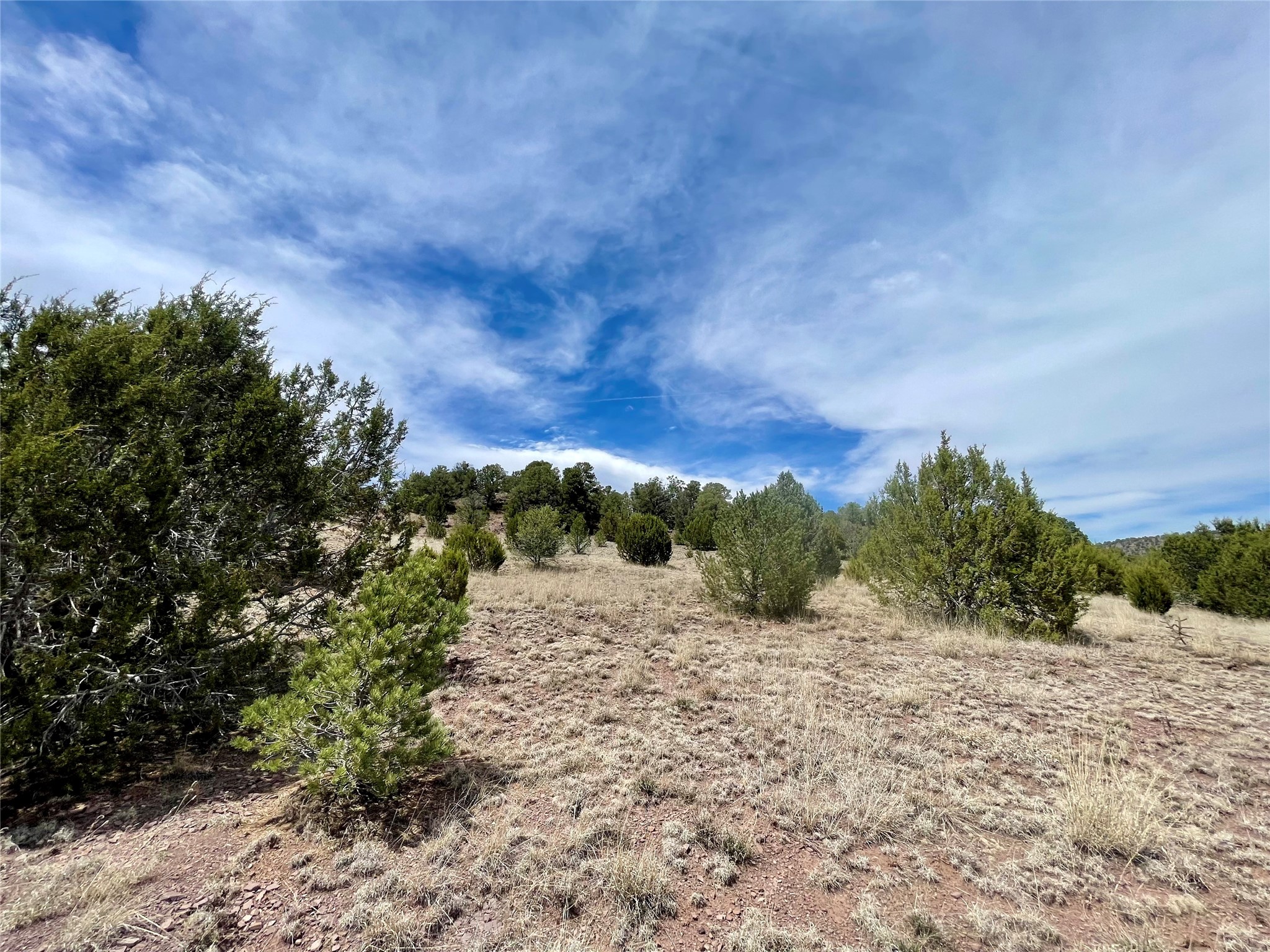 331 Mirasol Road Las Vegas, NM 87701 - Photo 7 of 14