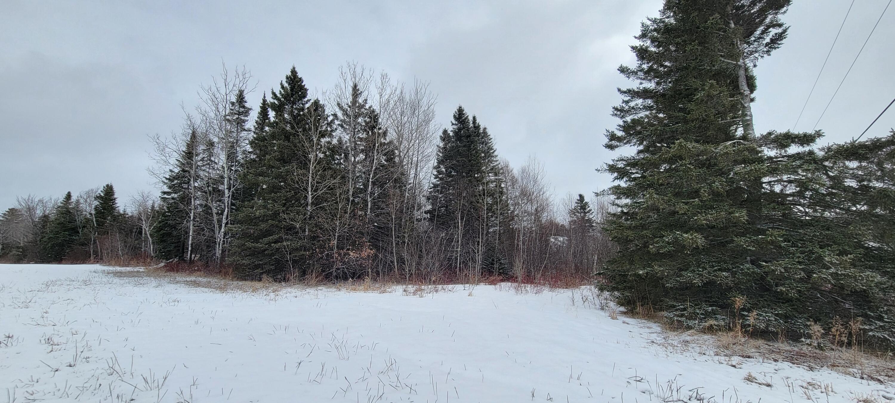 54 D Lavertu Road St. David, ME 04773 - Photo 6 of 9 20240318_093042