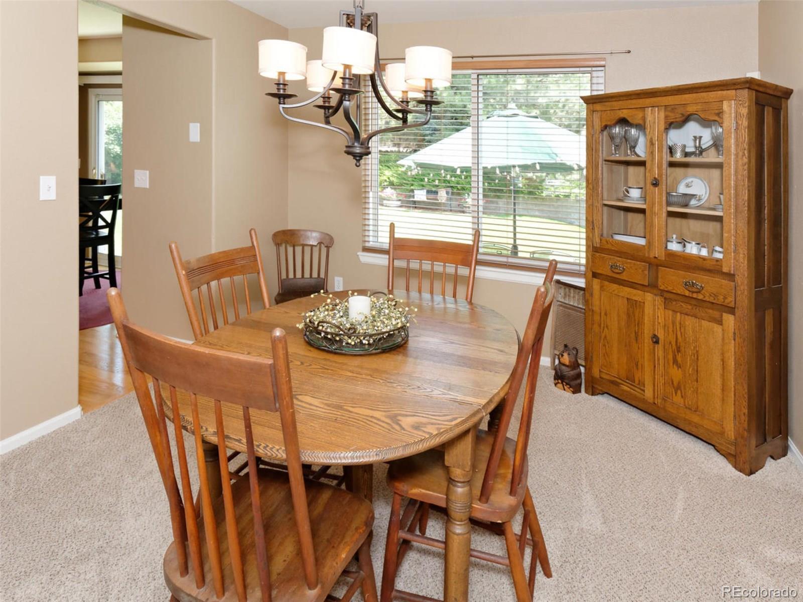 10216 Silver Maple Circle Highlands Ranch, CO 80129 - Photo 16 of 35 Gallery Image 16