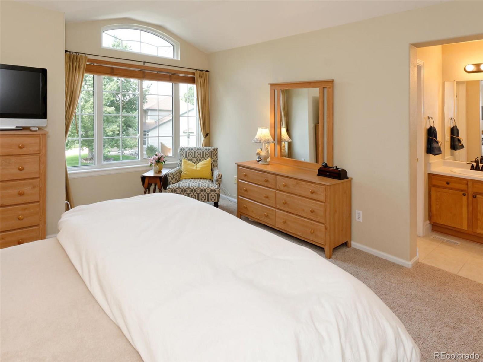 10216 Silver Maple Circle Highlands Ranch, CO 80129 - Photo 22 of 35 Gallery Image 22