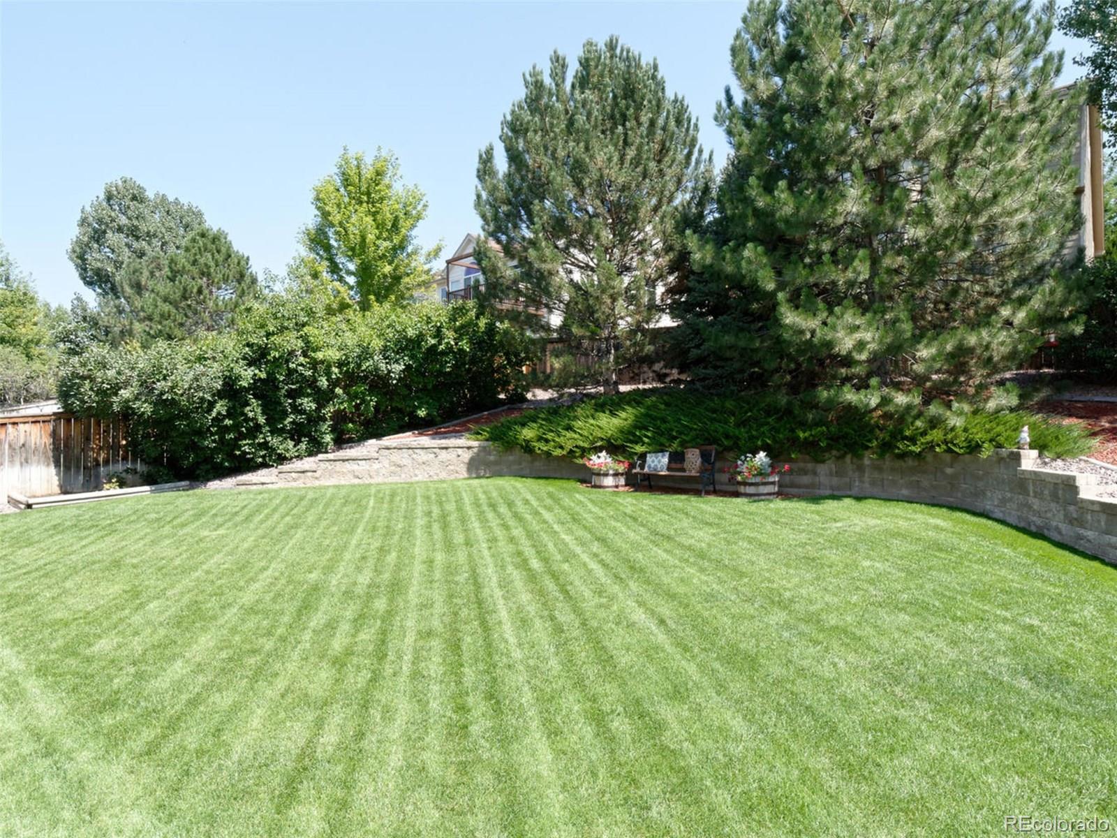 10216 Silver Maple Circle Highlands Ranch, CO 80129 - Photo 7 of 35 Gallery Image 7