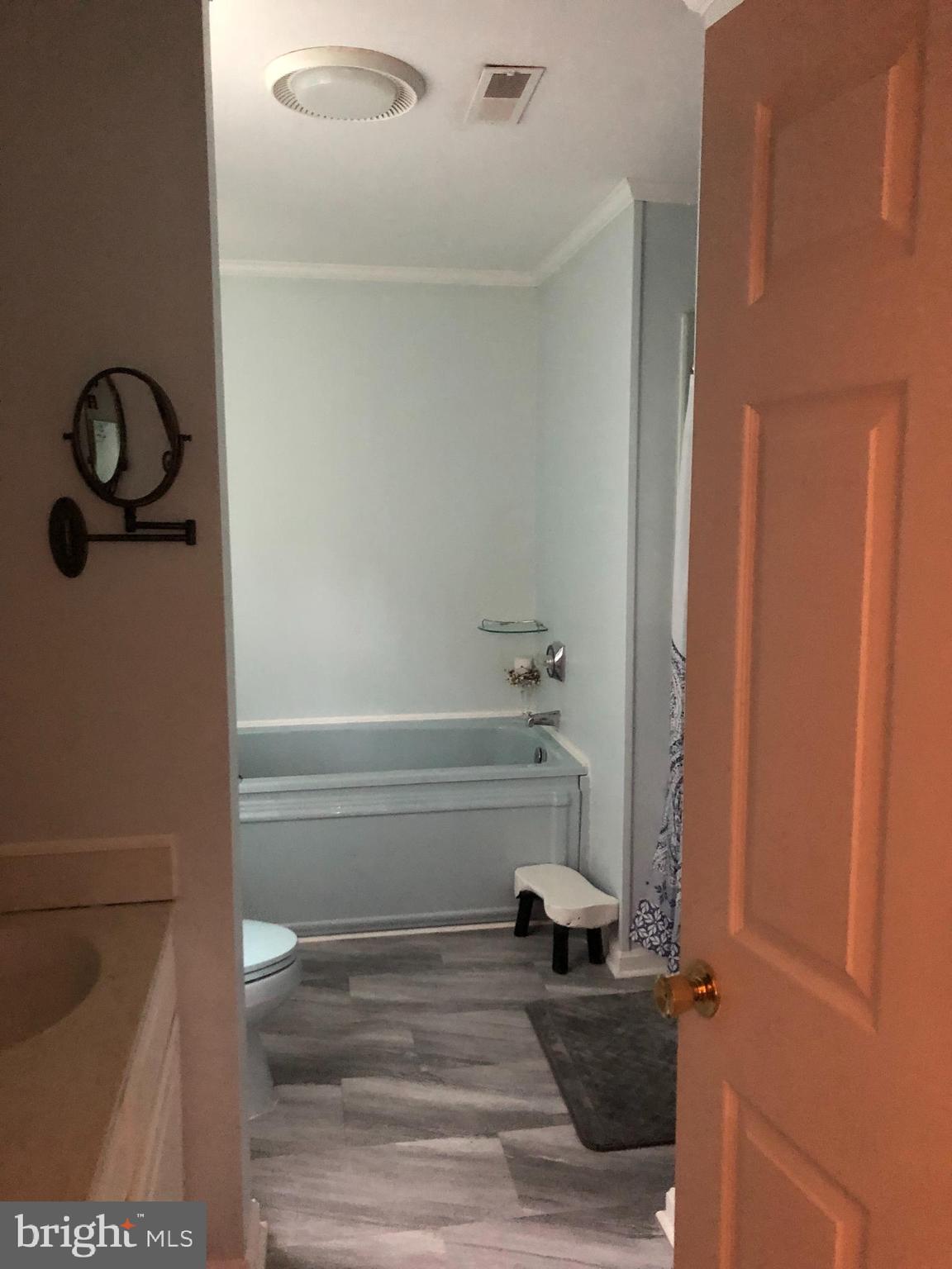 415 Fork Bridge Road Elmer, NJ 08318 - Photo 16 of 17 Master Bath