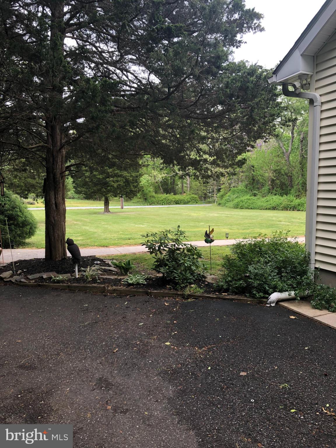 415 Fork Bridge Road Elmer, NJ 08318 - Photo 17 of 17 Side Yard looking to Front