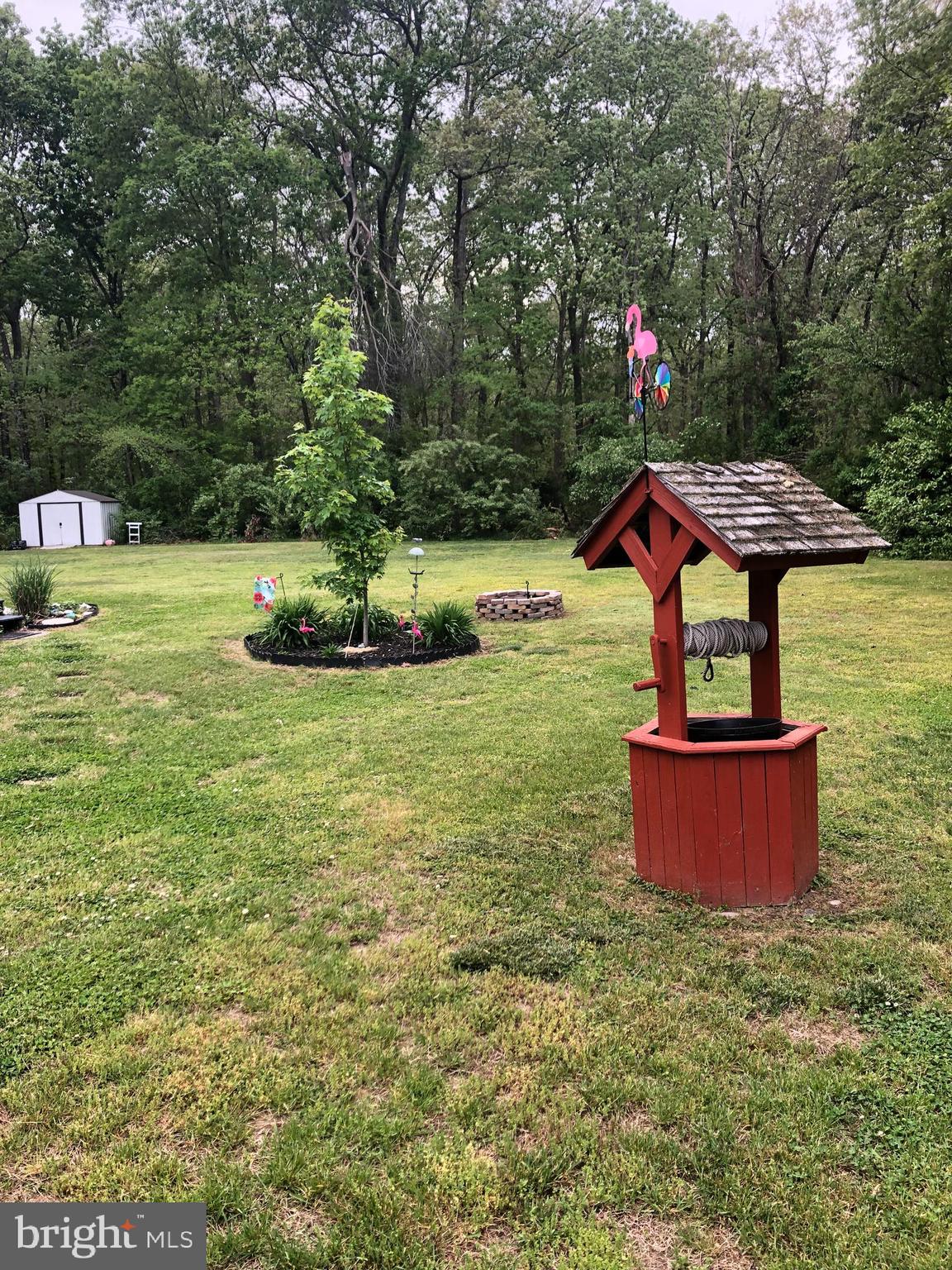 415 Fork Bridge Road Elmer, NJ 08318 - Photo 7 of 17 Rear Yard