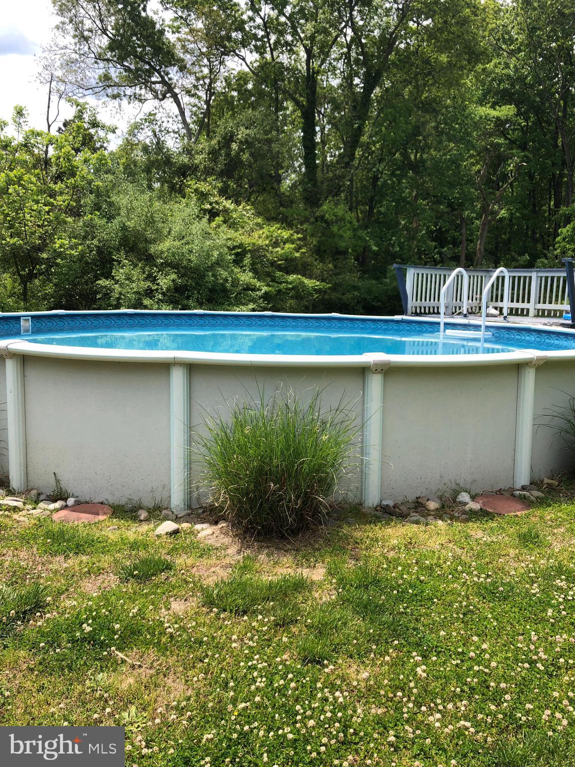 415 Fork Bridge Road Elmer, NJ 08318 - Photo 8 of 17 Pool