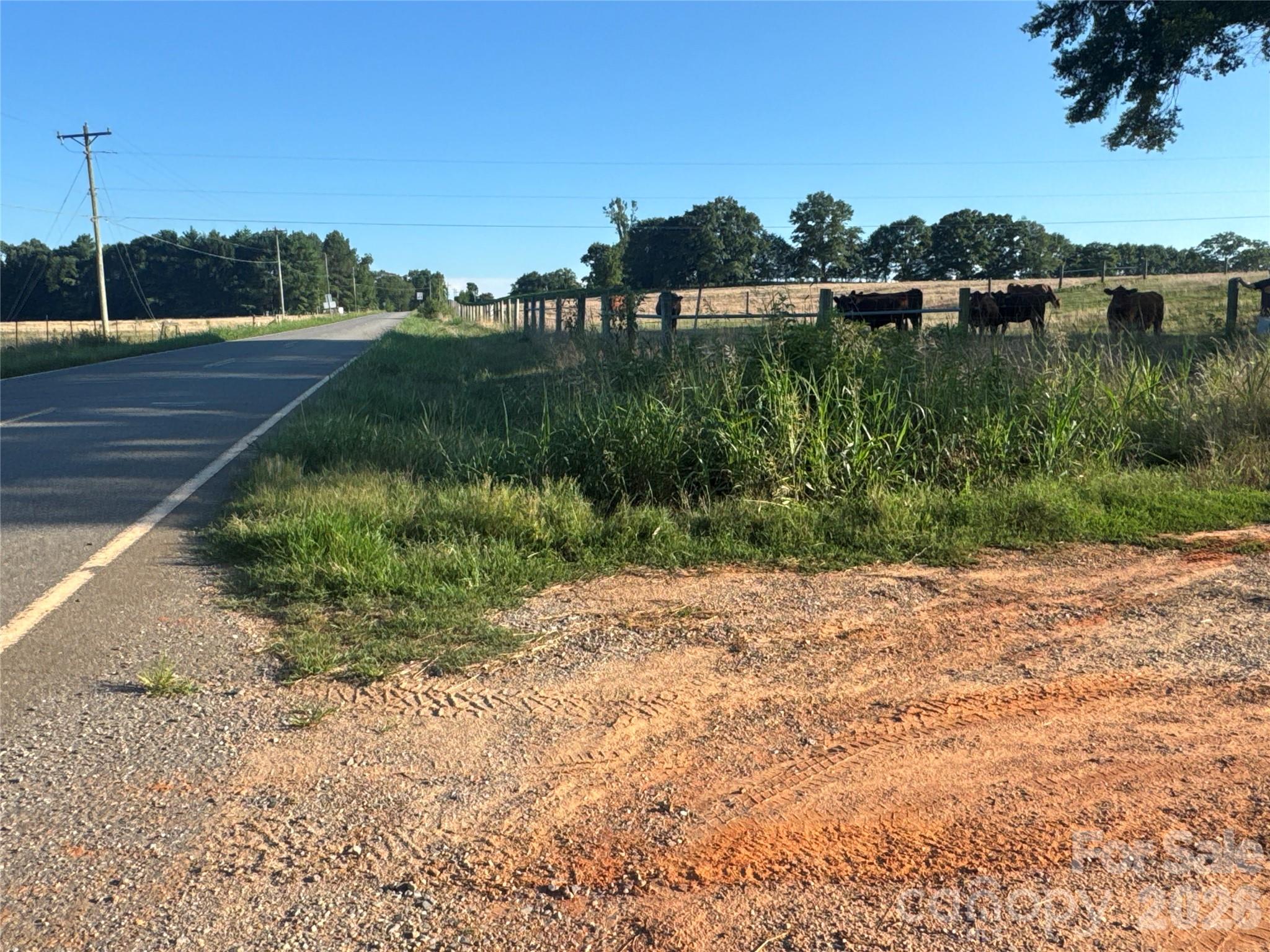 328 Sandy Run Church Road Mooresboro, NC 28114 - Photo 28 of 48