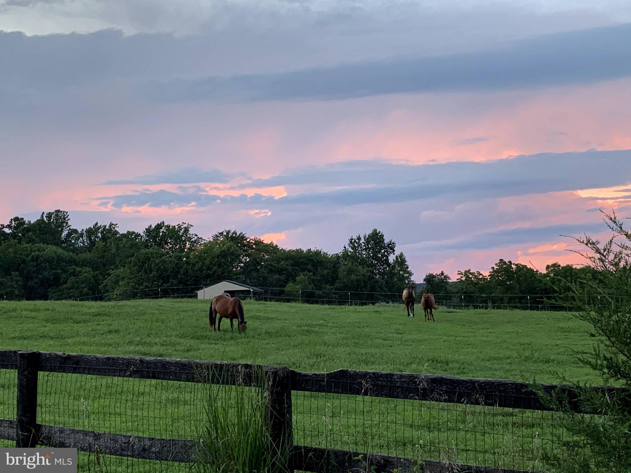15010 Rolling Ridge Road Haymarket, VA 20169 - Photo 57 of 61 Serene sunset over grazing horses.