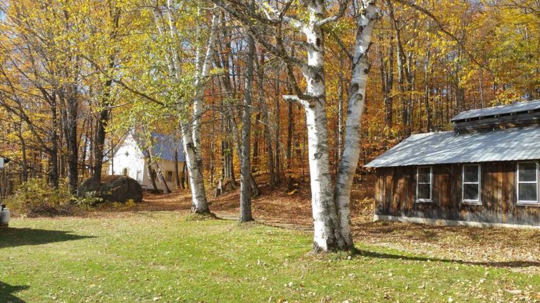 1001 Reed's Mill Road Madrid Township, ME 04966 - Photo 34 of 36 e