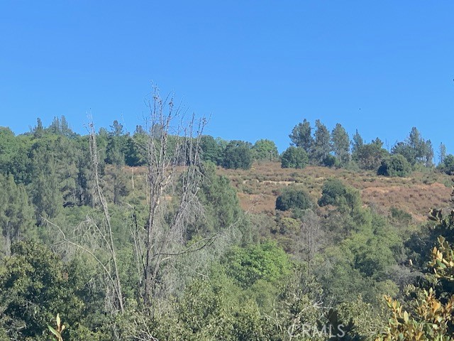a view of a field of grass and trees