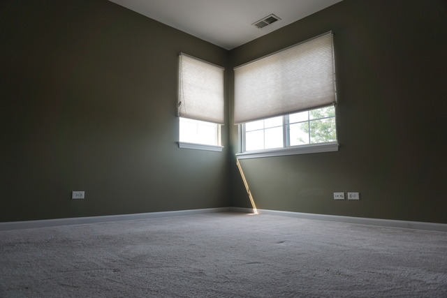 1067 Ripple Ridge, Unit 1067 Darien, IL 60561 - Photo 12 of 14
