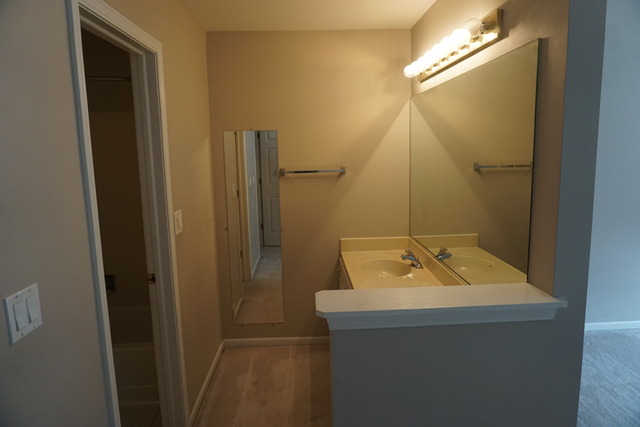 1067 Ripple Ridge, Unit 1067 Darien, IL 60561 - Photo 10 of 14