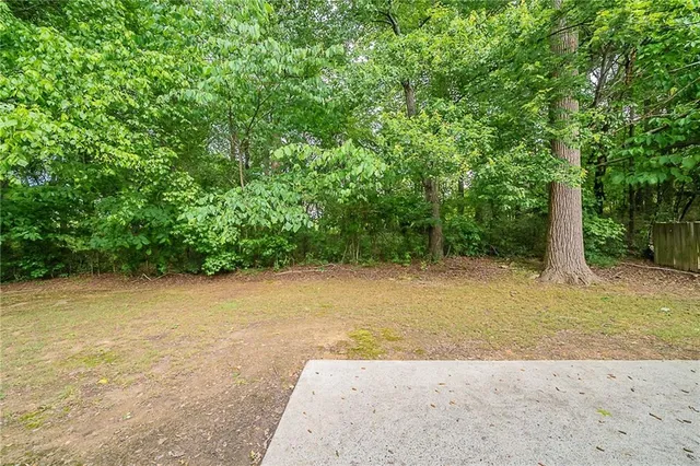 a view of a yard with a tree