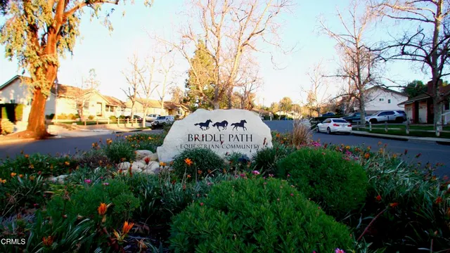 a view of a park that has large trees
