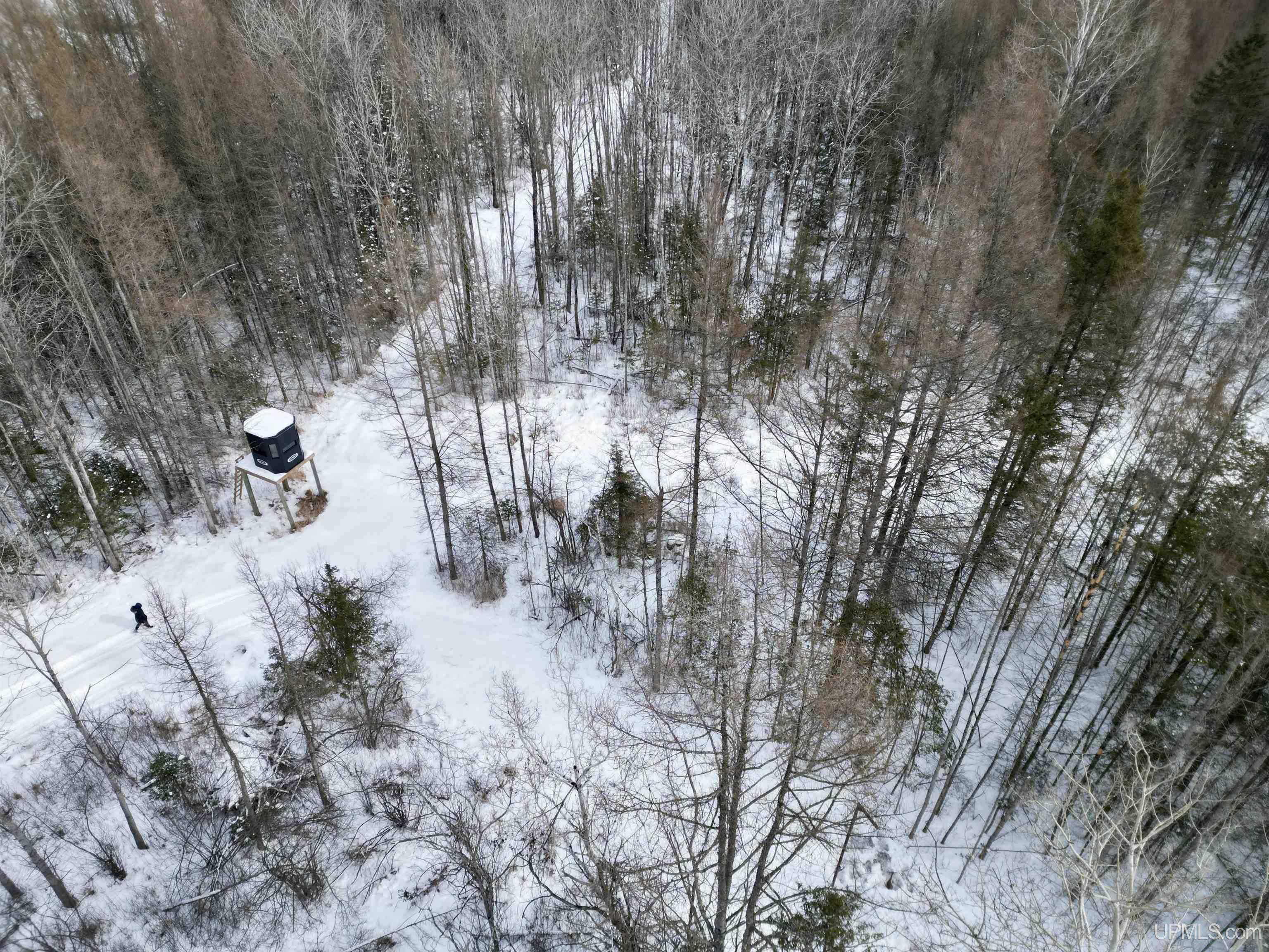 Tbd 8th Road Bark River, MI 49807 - Photo 10 of 25