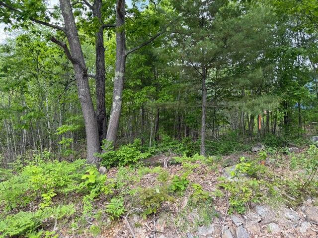 44 Whitefield Road Pittston, ME 04345 - Photo 1 of 2 IMG_3612