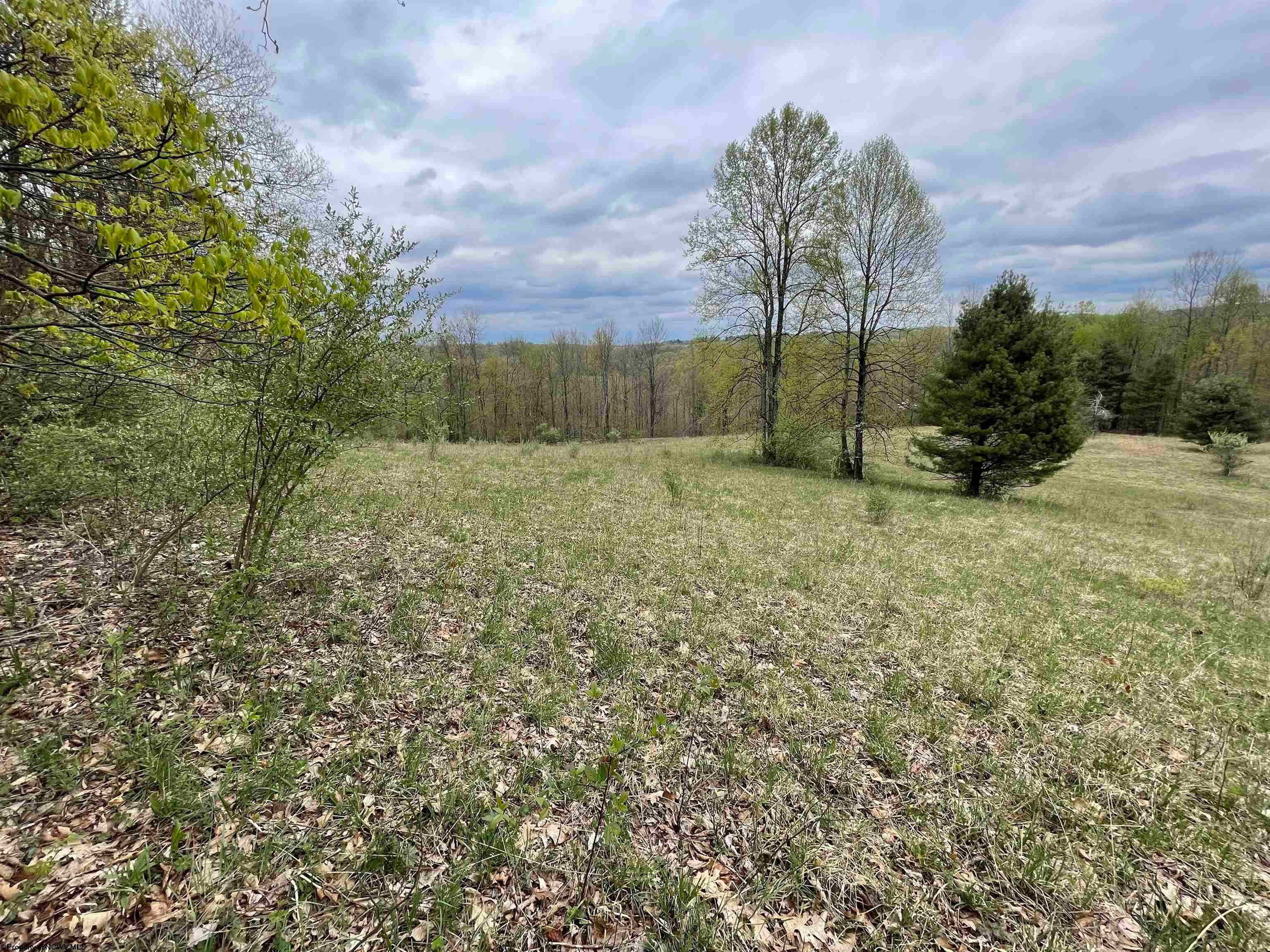 2175 Pell Road Kingwood, WV 26537 - Photo 12 of 28 Gallery Image 12